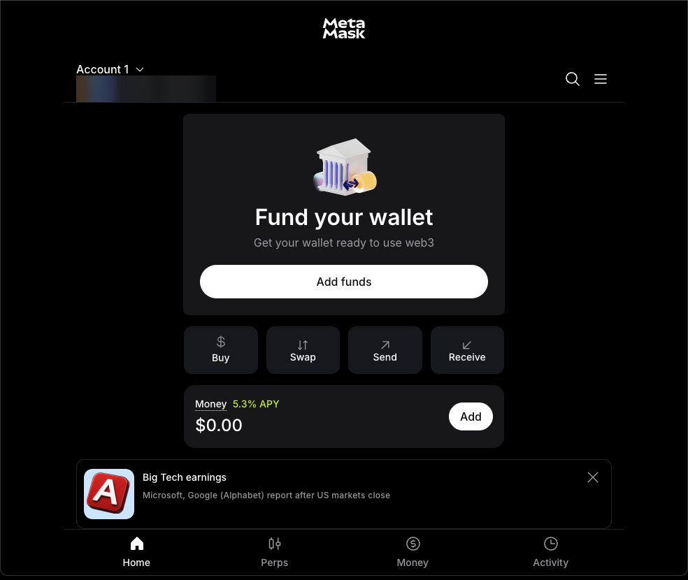 Your MetaMask wallet is ready.